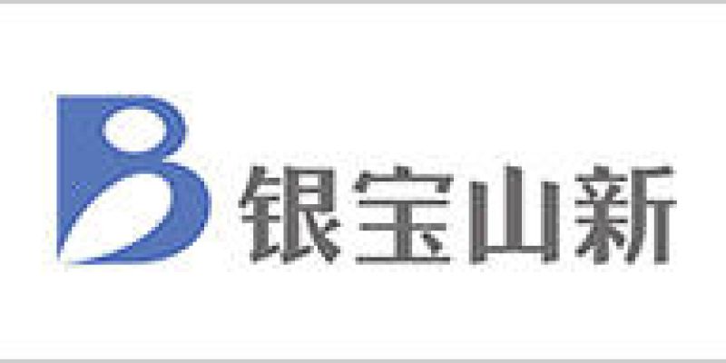 银宝山新